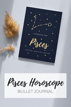 Notebook Aesthetic | Cute Notebooks | Journal Inspiration | Journaling Aesthetic | Bullet Journal Ideas for Beginners | Bullet Journal | Notebook | Horoscope | Zodiac Sign | Pisces | #Notebook #BulletJournal // Mockup psd created by freepik //