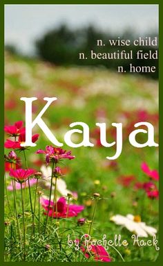 a field full of pink and white flowers with the words kaya in front of it