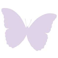 a purple butterfly on a white background