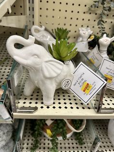 an elephant figurine sitting on top of a shelf next to plants and other items