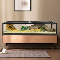 a large fish tank sitting on top of a wooden table next to a rug and wall