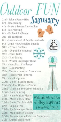 an outdoor fun january flyer with snowflakes, trees and other things to do