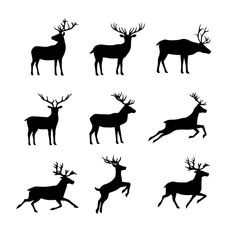 six deer silhouettes are shown in black and white