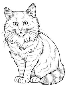 a black and white drawing of a cat sitting on the ground with its eyes wide open