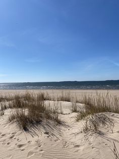 the beach is covered in sand and grass as well as blue skies with no clouds