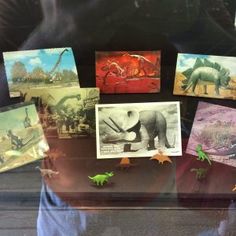 there are many pictures on display in the window with dinosaurs and other things behind them