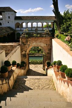 an outdoor area with potted plants and stone steps leading up to a building on the other side