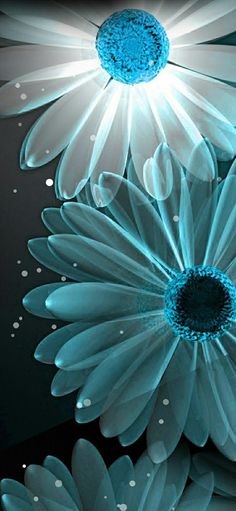 two blue and white flowers with water droplets on the petals are floating in the air