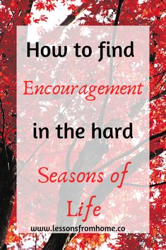 a red tree with the words how to find engagement in the hard seasons of life