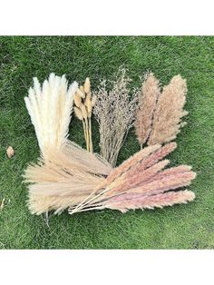 several dried flowers laying on the grass