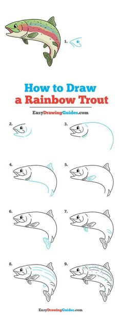 how to draw a rainbow trout