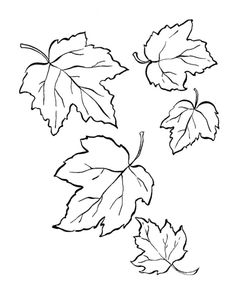 an image of autumn leaves coloring page with the words october on it and below them