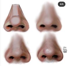 four different views of the nose and mouth