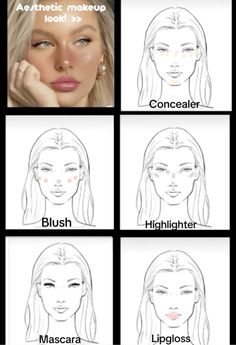 Makeup Looks How To Do, Make Up Diagram, Makeup Template Design, Proper Make Up Steps, Where To Put Makeup On Face Diagram, Easy And Simple Makeup, How To Know What Makeup Is Right For You, Clean Girl Makeup Tutorial Drawing, Makeup Routine For 13-14