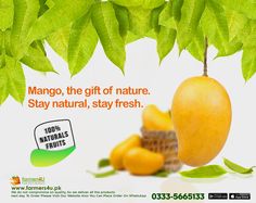 an advertisement for mango fruit on a tree