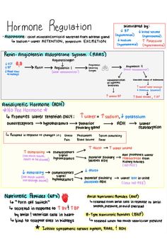 an image of a diagram with words and numbers in different languages on the same page