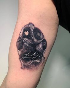 a black and white photo of a dog's paw with the word love written on it