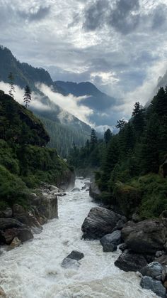 a river flowing through a lush green forest filled with rocks and pine trees under a cloudy sky