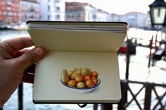 a person holding up an open book with some fruit in it