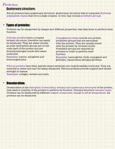 an info sheet describing the different types of proteins