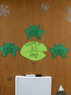 the door is decorated with frogs and snowflakes