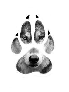 a black and white photo of a dog's face with four claws on it