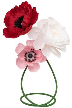 three red and white flowers are in a wire vase on a white background with green stems