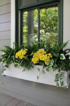 a window box with yellow flowers and greenery