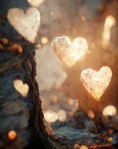 two heart shaped stones sitting on top of a tree stump in the sun shining through them