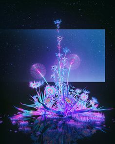 an image of a plant in the middle of water with bright lights on it's surface