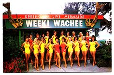 a group of women in yellow and red swimsuits posing for a photo under a sign