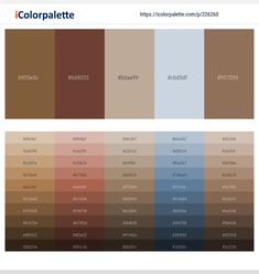 the color palette is shown in different shades