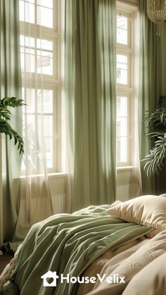 a bed sitting under two windows next to a potted plant