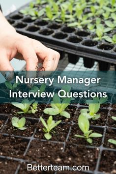 Top 5 nursery manager interview questions with detailed tips for both hiring managers and candidates.