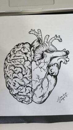 a drawing of a human heart and brain