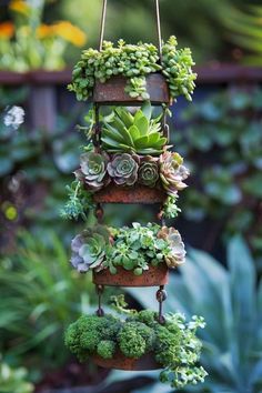 a hanging planter filled with succulents and plants in the middle of a garden