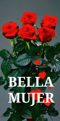 a vase filled with red roses sitting on top of a table next to green leaves