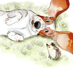 a drawing of a dog and a hedge laying on the ground with daisies in the background