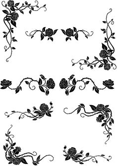 a set of black and white floral design elements stock photo, images and royalty illustrations