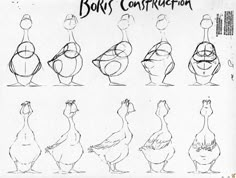 some drawings of chickens with different shapes and sizes