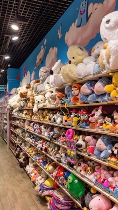 rows of stuffed animals are on display in a toy store with blue walls and wood flooring