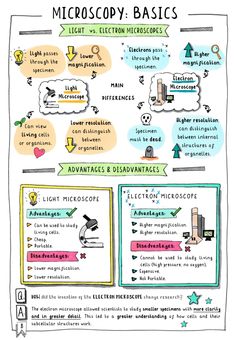 an info sheet with different types of electronic devices