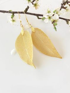 These beautiful earrings are made from real leaves electroformed in gold. The amazing delicate details of the leaf has been preserved by an electroforming process creating a beautiful and unique gift of nature. These earrings are durable, lightweight and very elegant. These real leaves are from the evergreen Rudraksha tree. Each leaf is unique, therefore, please expect a small variation from the leaves on the photographs. The leaves are around 2 inches (5cm) long, delicate looking but strong. Ea Leaf Earrings Gold, Woodland Jewelry, Real Leaf, Natural Jewelry, Mermaid Jewelry, Gold Leaf Earrings, Real Leaves, Leaf Jewelry, Gold Dipped