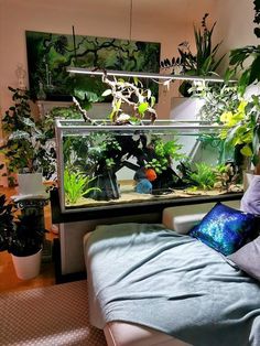 Glamorous And Outclass Wall #Aquarium Mounted Decoration Ideas And Designs|Modern House Fish Tank
Glamorous And Outclass Wall Aquarium Mounted Decoration Ideas And #Home #docoration Designs|Modern House Fish Tank Fish Tank Bedroom, Aquarium In Bedroom, Peceras Aesthetic, Bedroom Fish Tank, Aquarium Ideas Decoration, At Home Aquarium, Home Fish Tank Ideas, Aquarium Bedroom, Aesthetic Fish Tank Ideas