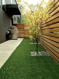 a small tree is in the grass next to a wooden fence and some buildings with windows