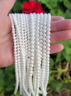 a hand holding several white beads in front of some red flowers and greenery,