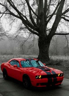 a red sports car parked in front of a tree