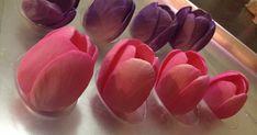 several pieces of pink and purple tulips sitting on a counter top next to each other