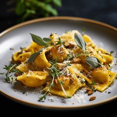 a white plate topped with pasta covered in cheese and herbs