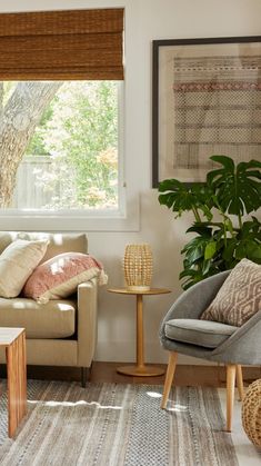 a living room filled with furniture and a tree in the window sill next to it